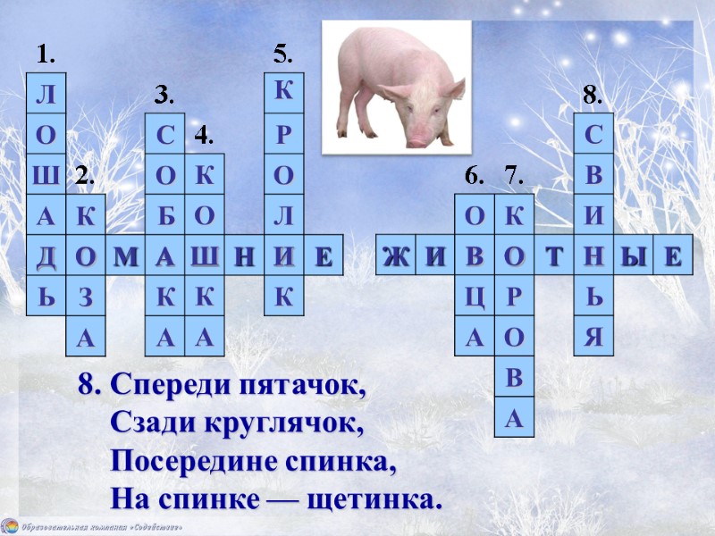 8. Спереди пятачок,     Сзади круглячок,     Посередине